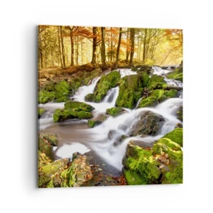 Canvastavla - Bild på duk - Kvickt genom höstskogen - 70x70 cm