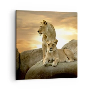 Canvastavla - Bild på duk - Kungligt majestät - 50x50 cm