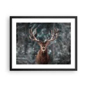 Affisch i svart ram - Krönt skogens kung - 50x40 cm