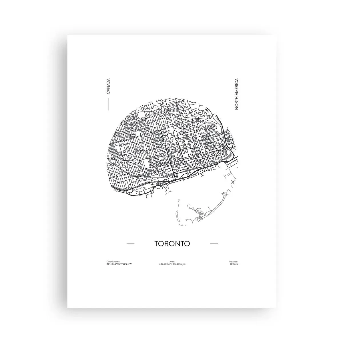 Affisch - Torontos anatomi - 30x40 cm