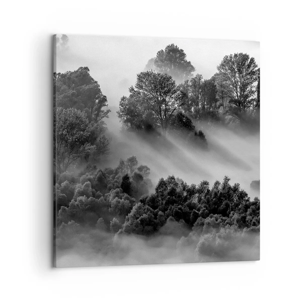 Canvastavla - Bild på duk - Stiger ur sömnen - 50x50 cm