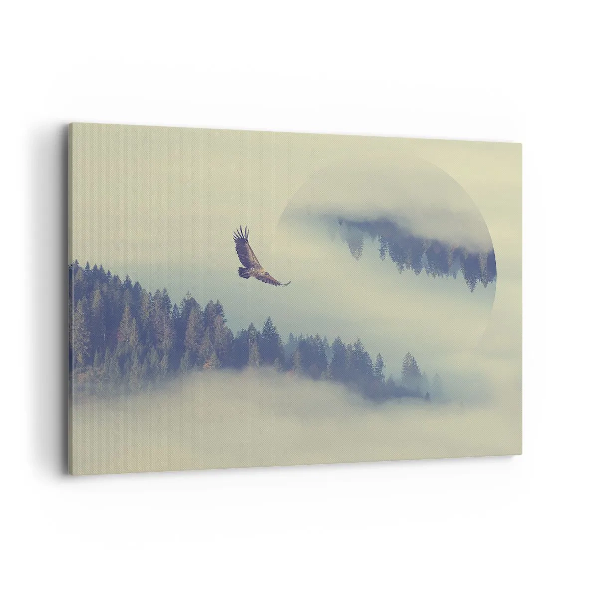 Canvastavla - Bild på duk - Örnens skugga - 100x70 cm