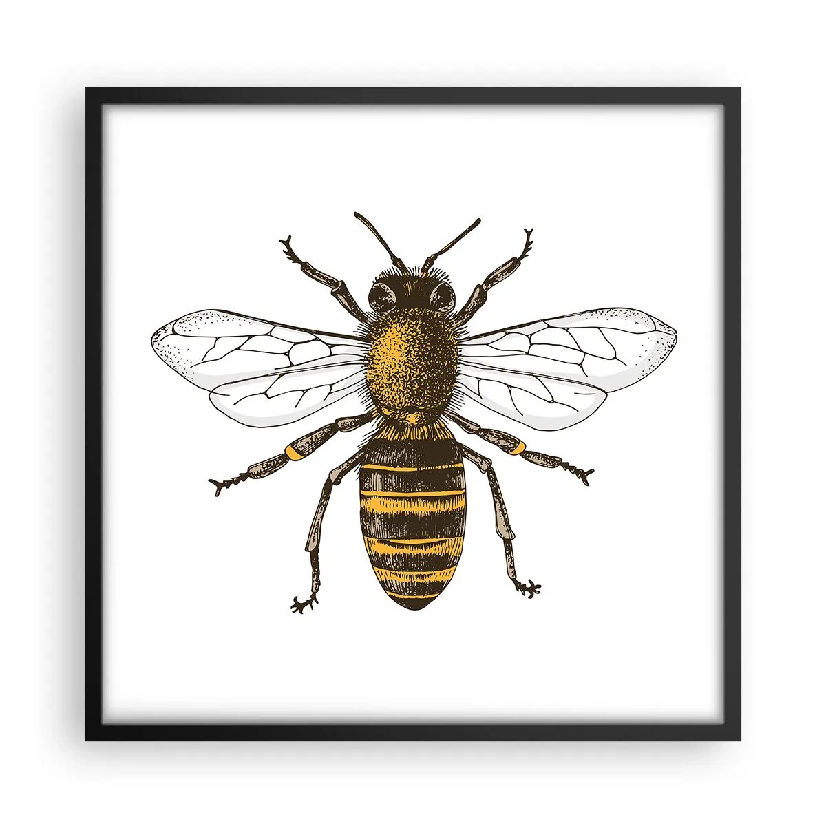 Affisch i svart ram - Vackert och bra - 50x50 cm