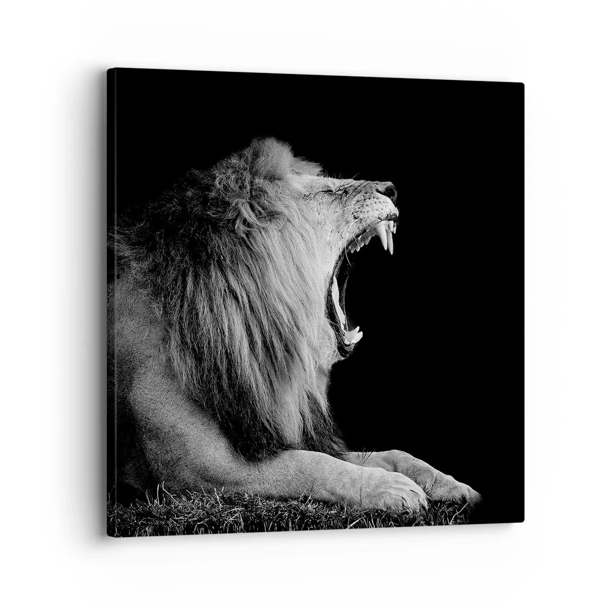 Canvastavla - Bild på duk - Utan någon tvekan - 30x30 cm