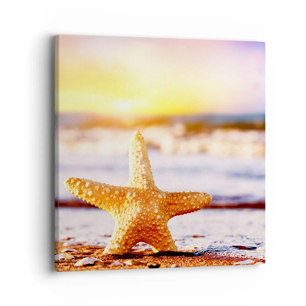 Canvastavla - Bild på duk - Havsgåva - 40x40 cm