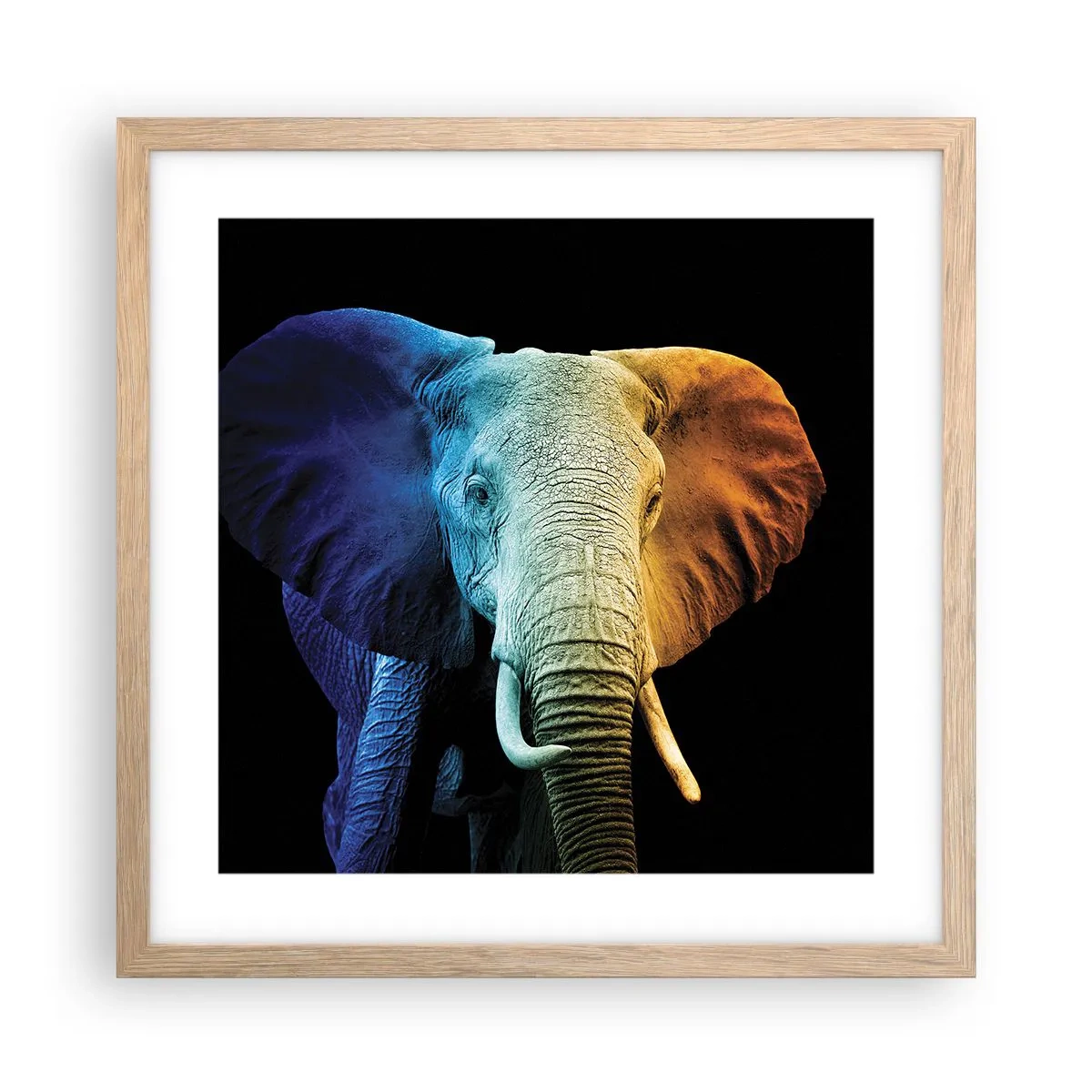 Affisch i ram av ljusek - Excentriker, ej kuf - 40x40 cm