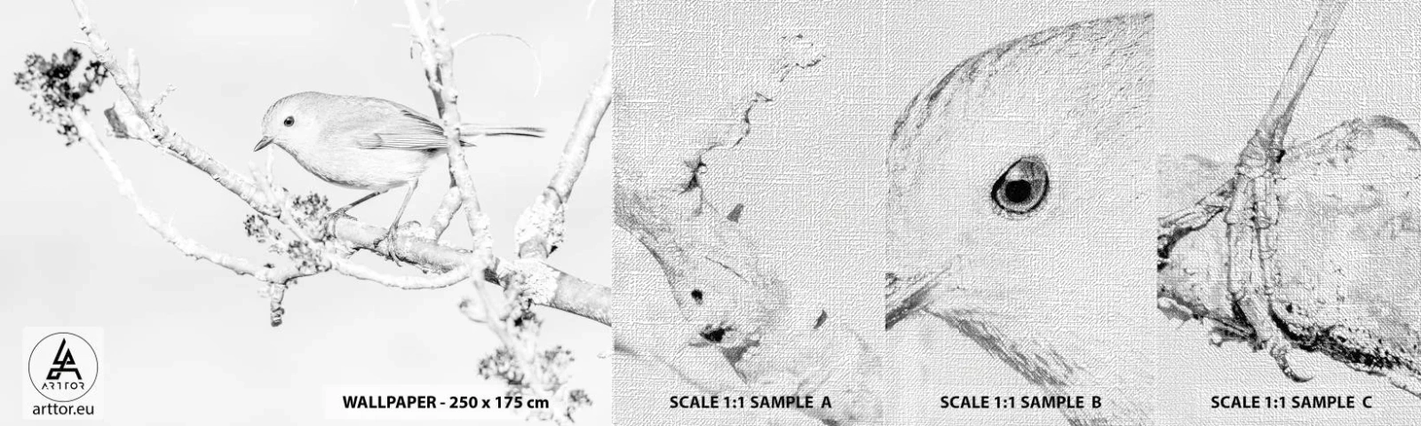 Provbit av fototapet Premium Canvas - Vintermorgon - Ljus, Fågel, Natur - 100x30 cm