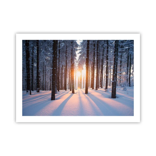 Affisch - Tydligt svart på vitt - 70x50 cm