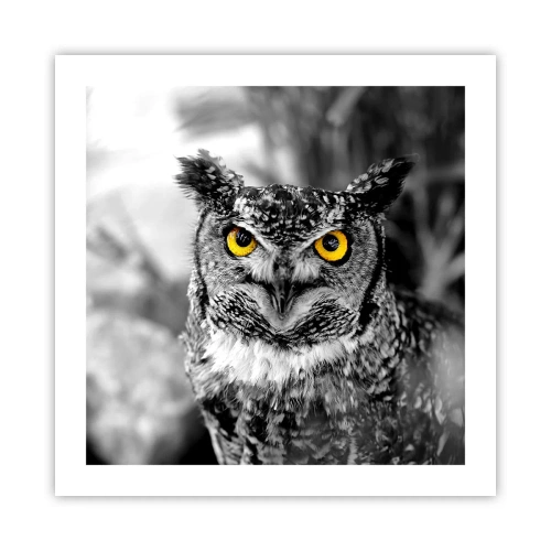 Affisch - Inget kommer undan - 50x50 cm