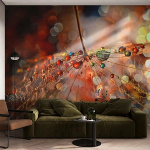 Fototapet Premium Canvas - Trädda på spindelnät - Abstraktion, spindelnät, Bit - 250x175 cm