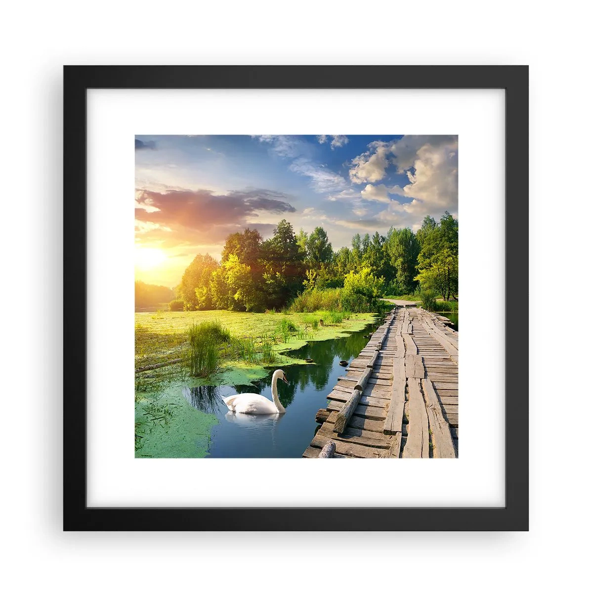 Affisch i svart ram - Sommar, sommar överallt - 30x30 cm