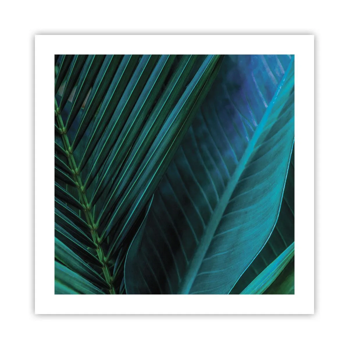 Affisch - Grönskans anatomi - 50x50 cm