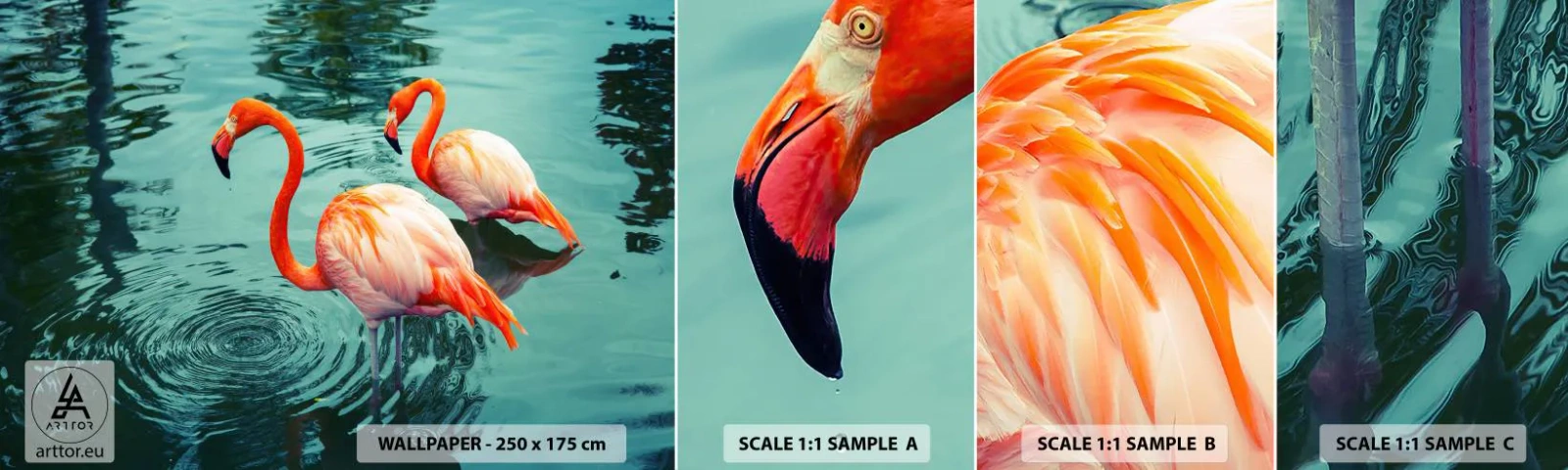 Provbit av självhäftande fototapet Deluxe Sticker - Nu är vi på modet - Flamingos, Fåglar, Natur - 100x30 cm