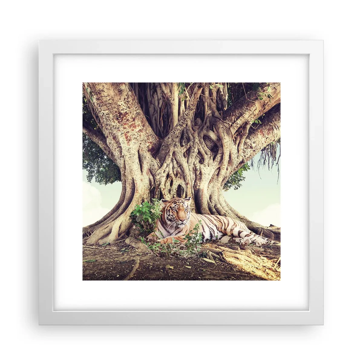 Affisch i vit ram - Vi från Första Moseboken - 30x30 cm