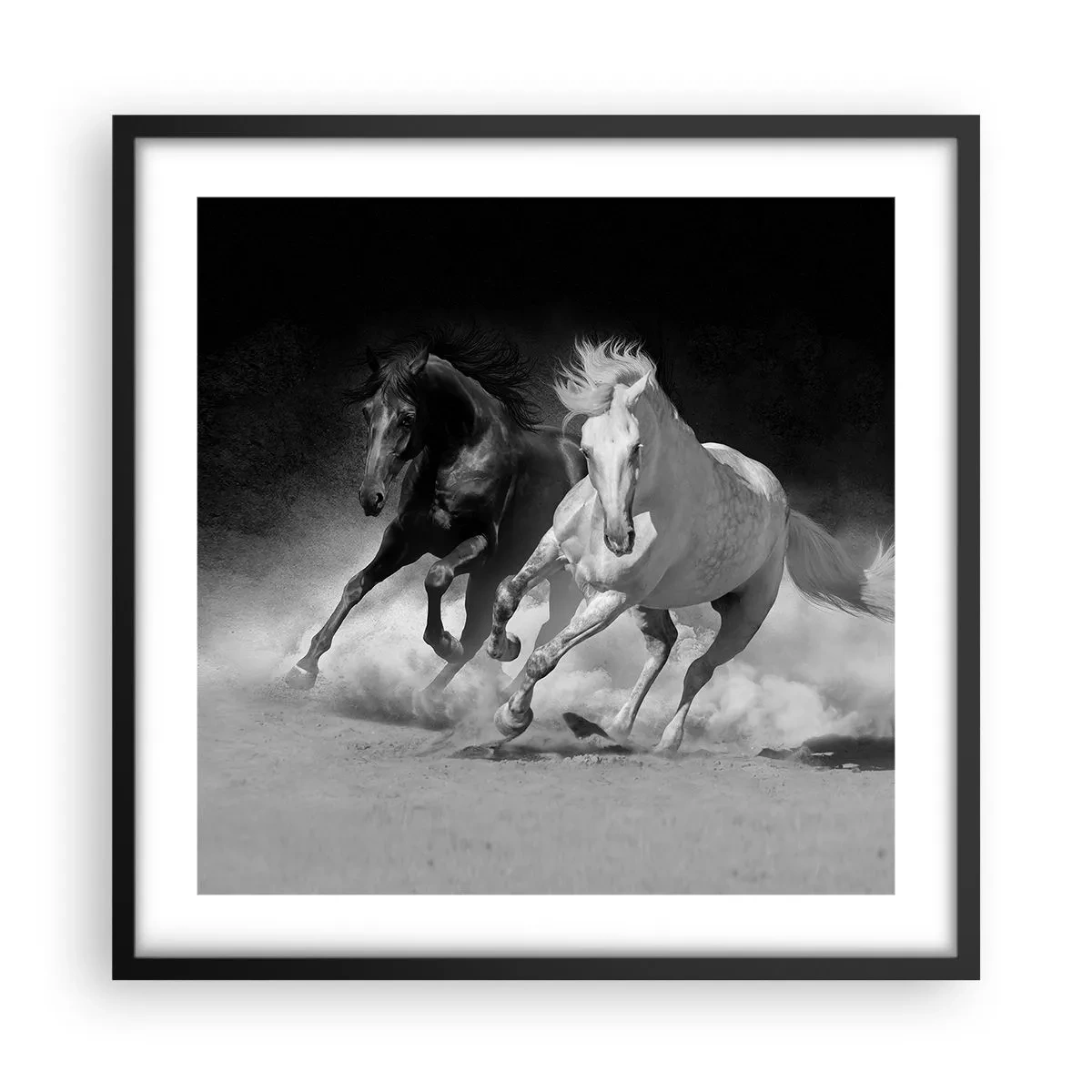 Affisch i svart ram - Frihetens galopp - 50x50 cm
