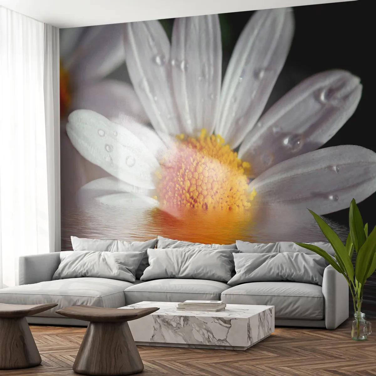 Självhäftande Fototapet Deluxe Sticker - Prästkrages uppstigande sol - Blomma, Kamomill, Natur - 250x175 cm