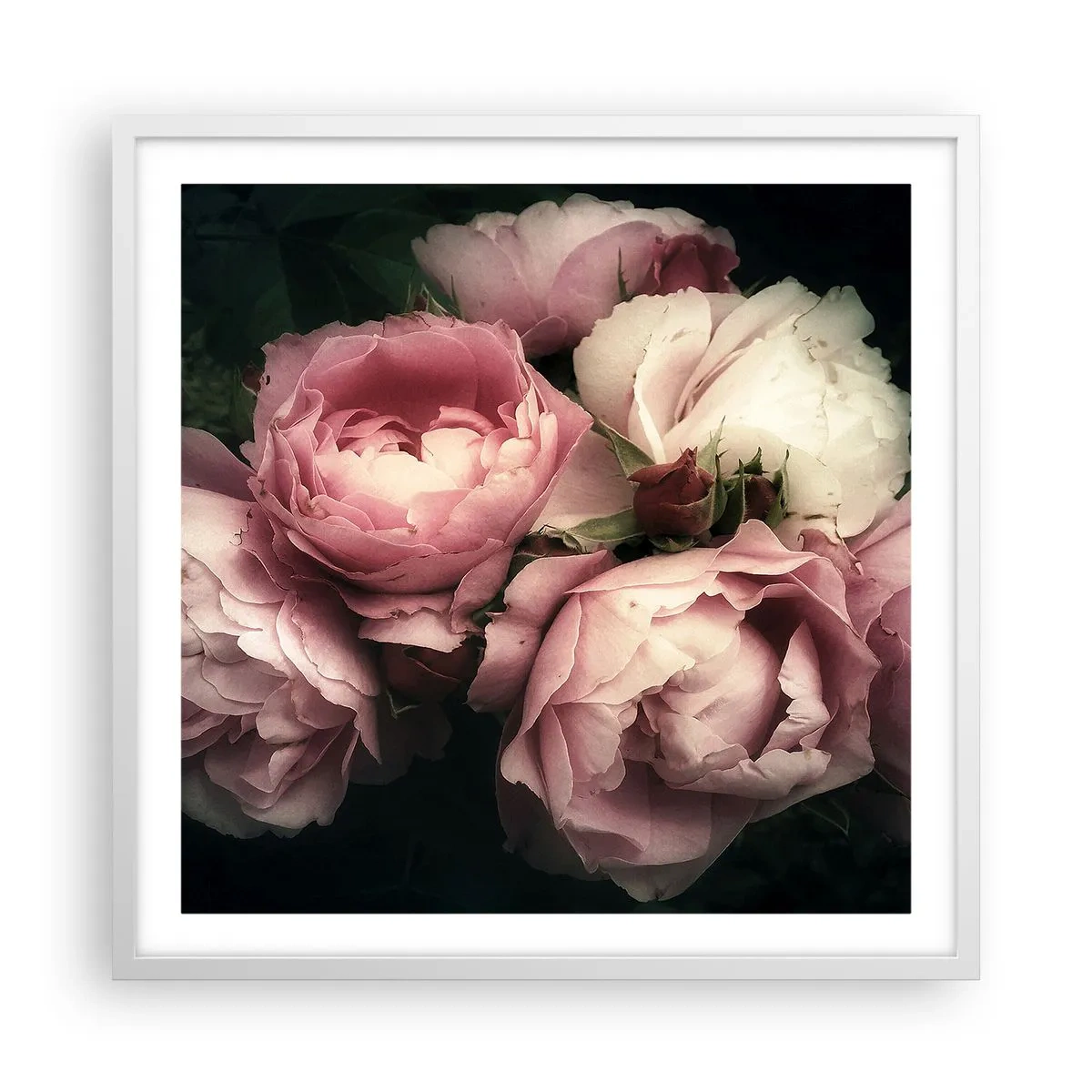Affisch i vit ram - Belle epoque charm - 60x60 cm