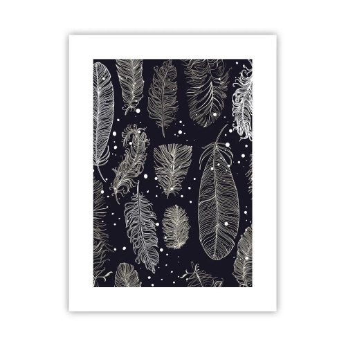 Affisch - Fjäderspets - 30x40 cm