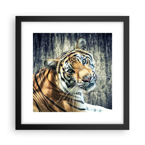 Affisch i svart ram - Porträtt i ljusstrålar - 30x30 cm