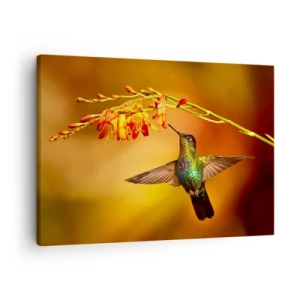 Canvastavla - Bild på duk - Kolibri vid en blomma i det varma ljuset - 70x50cm - Ljusbud enligt Mayafolket - Modern väggdekoration för vardagsrum och sovrum ARTTOR