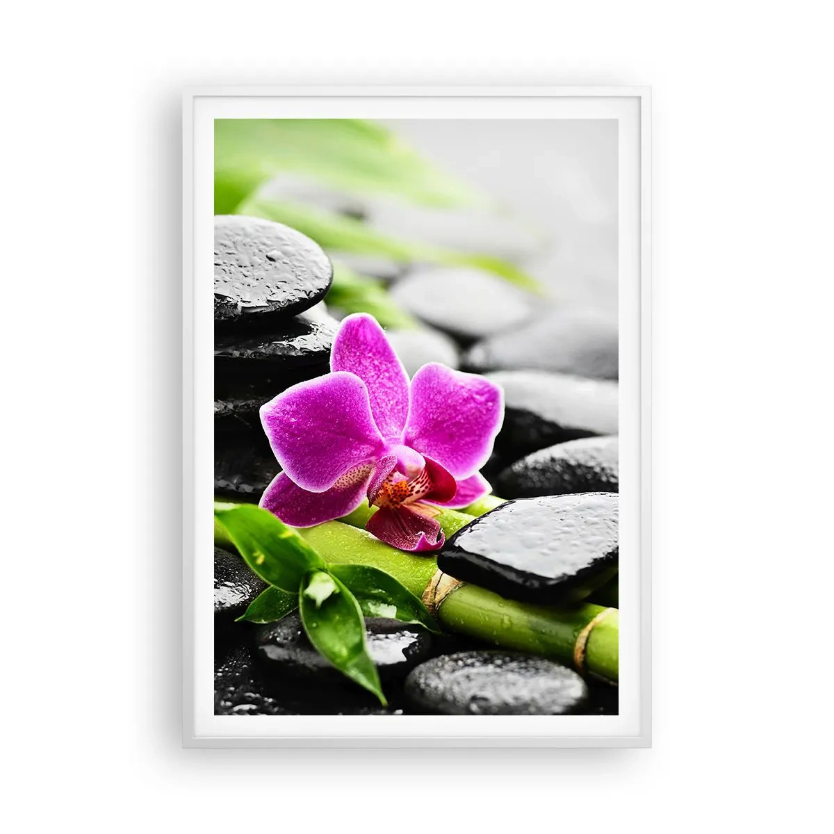 Affisch i vit ram - Lugn balans - 70x100 cm