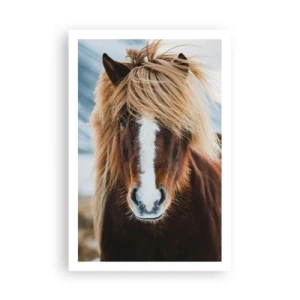 Affisch - Känner du friheten? - 61x91 cm