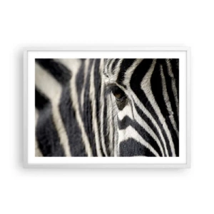 Affisch i vit ram - Randig porträtt - 70x50 cm