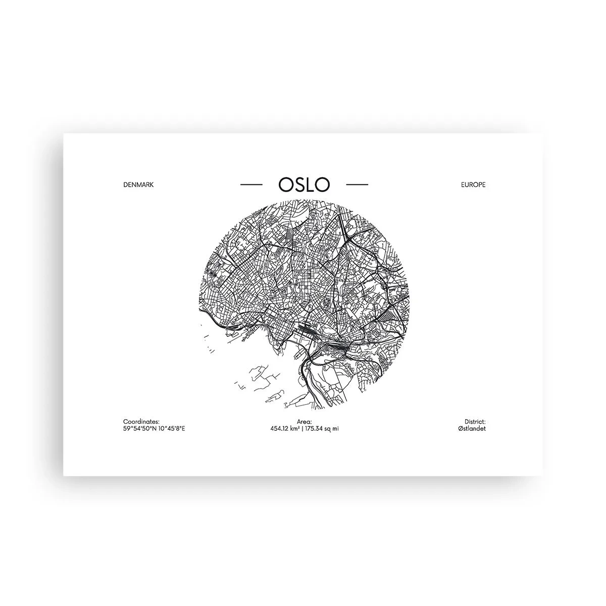Affisch - Oslos anatomi - 70x50 cm