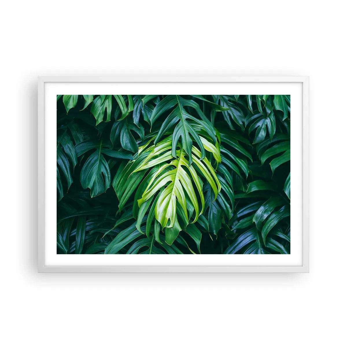 Affisch i vit ram - Doppa sig i fräschheten - 70x50 cm