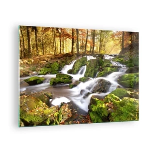 Glastavla - Bild på glas - En skogsbäck med vattenfall i ett höstlandskap - 70x50cm - Kvickt genom höstskogen - Modern väggdekoration för vardagsrum och sovrum ARTTOR