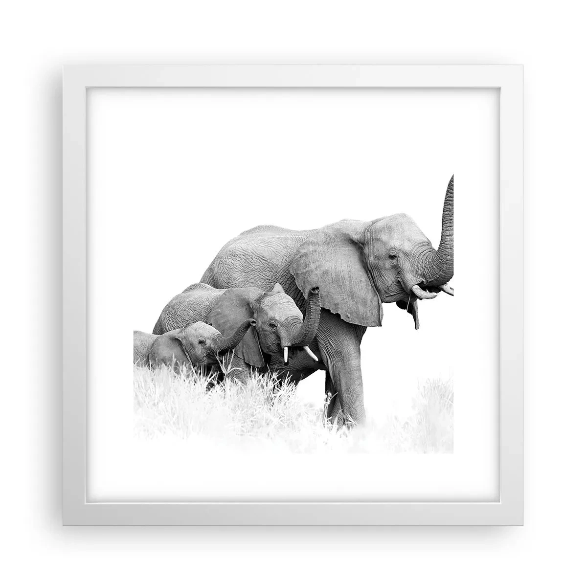 Affisch i vit ram - Ett, två, tre - 30x30 cm