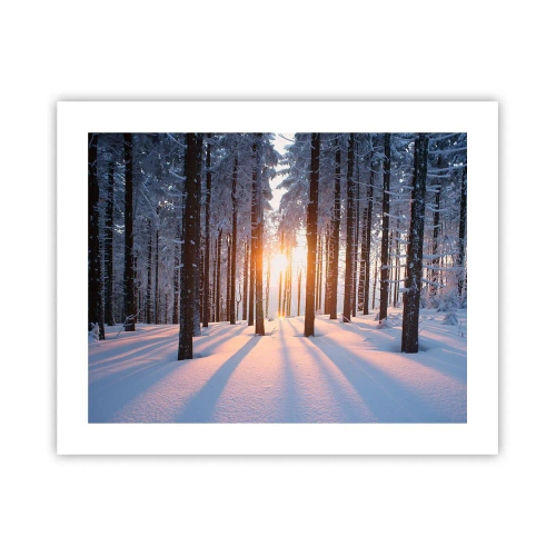 Affisch - Tydligt svart på vitt - 50x40 cm