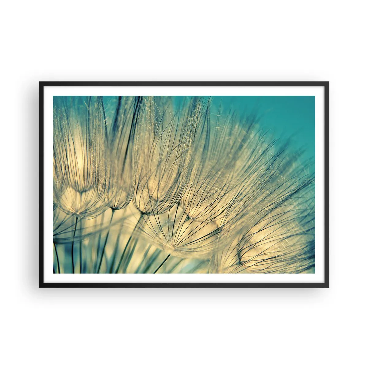 Affisch i svart ram - I väntan på vinden - 100x70 cm