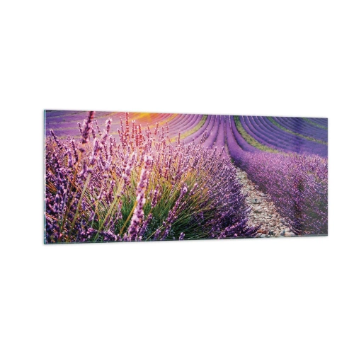Glastavla - Bild på glas - Doftande åkermark - 100x40 cm