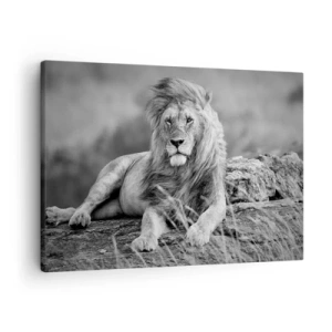 Canvastavla - Bild på duk - Lejon vilar på en sten i monokrom stil - 70x50cm - Kunglig siesta - Modern väggdekoration för vardagsrum och sovrum ARTTOR