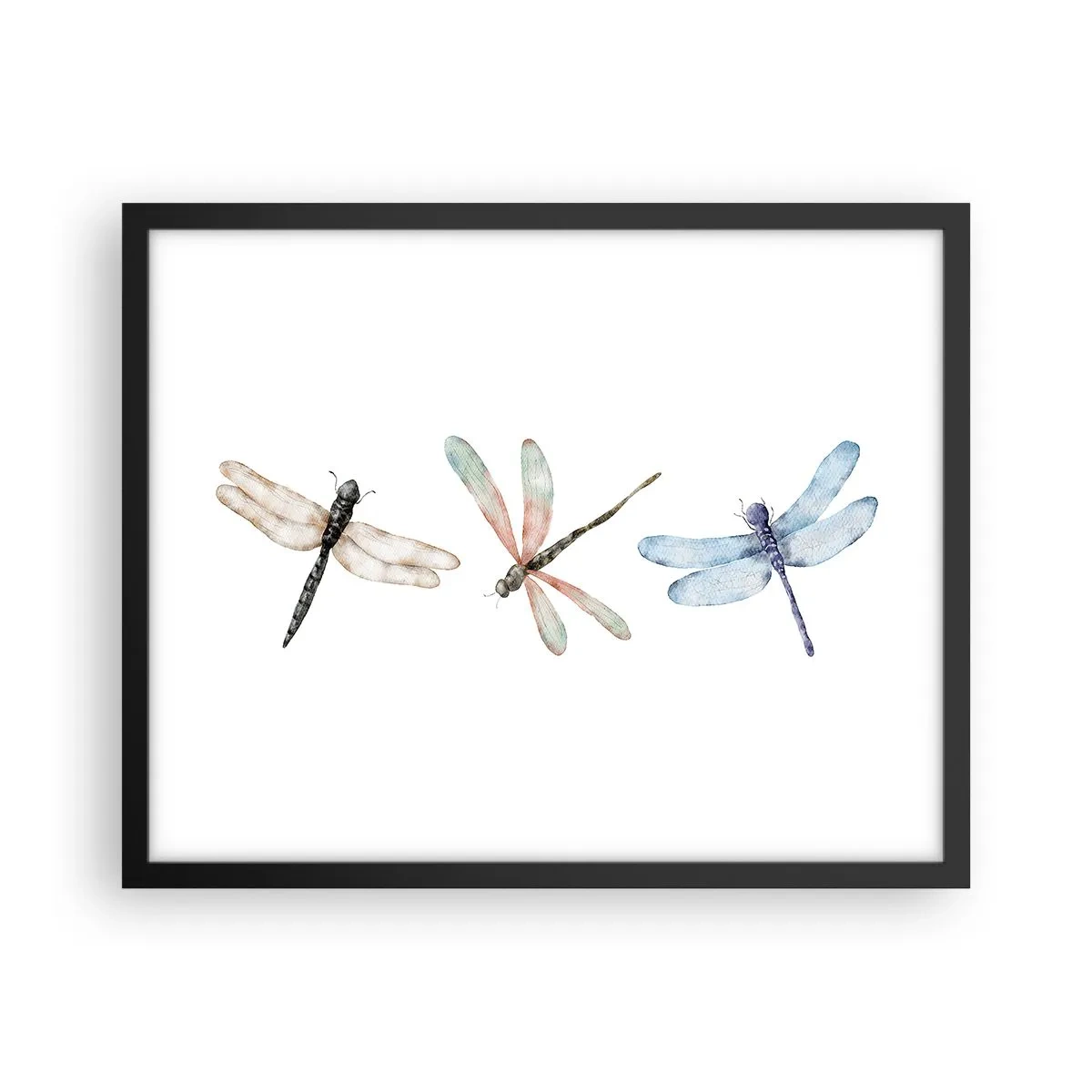 Affisch i svart ram - Viktlösa trollsländor - 50x40 cm