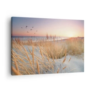 Canvastavla - Bild på duk - Solnedgångsstrand med högt gräs - 70x50cm - Östersjövaggvisa - Modern väggdekoration för vardagsrum och sovrum ARTTOR
