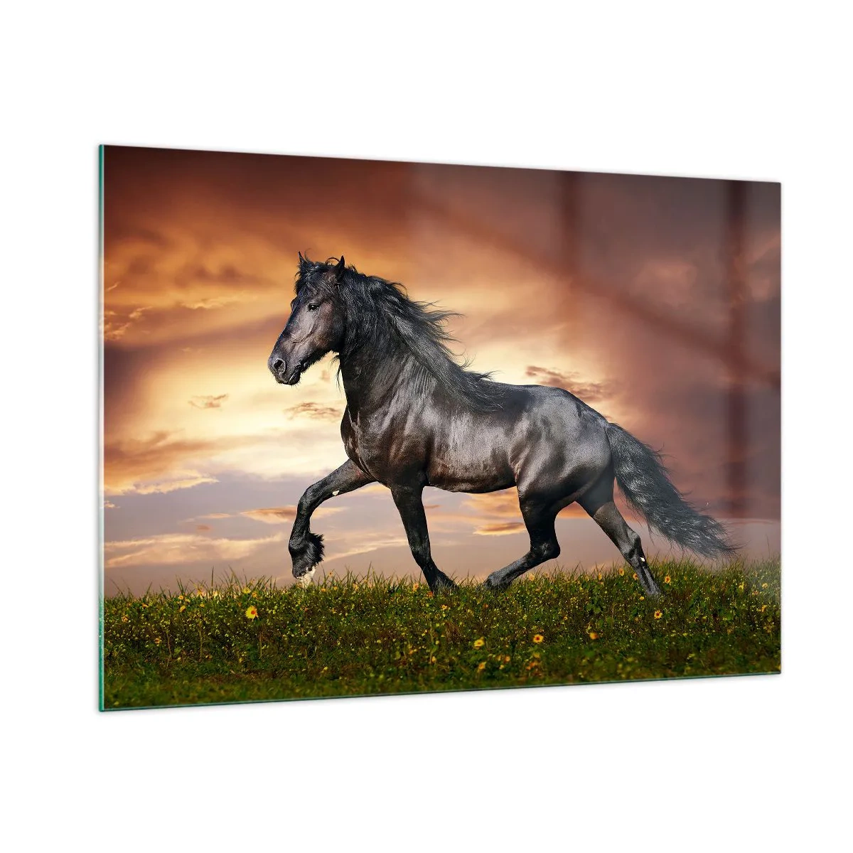 Glastavla - Bild på glas - Svarta prinsen - 100x70 cm