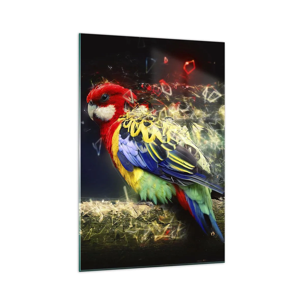 Glastavla - Bild på glas - Skenets bud - 70x100 cm