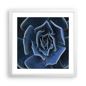 Affisch i vit ram - Öknens blomma - 40x40 cm
