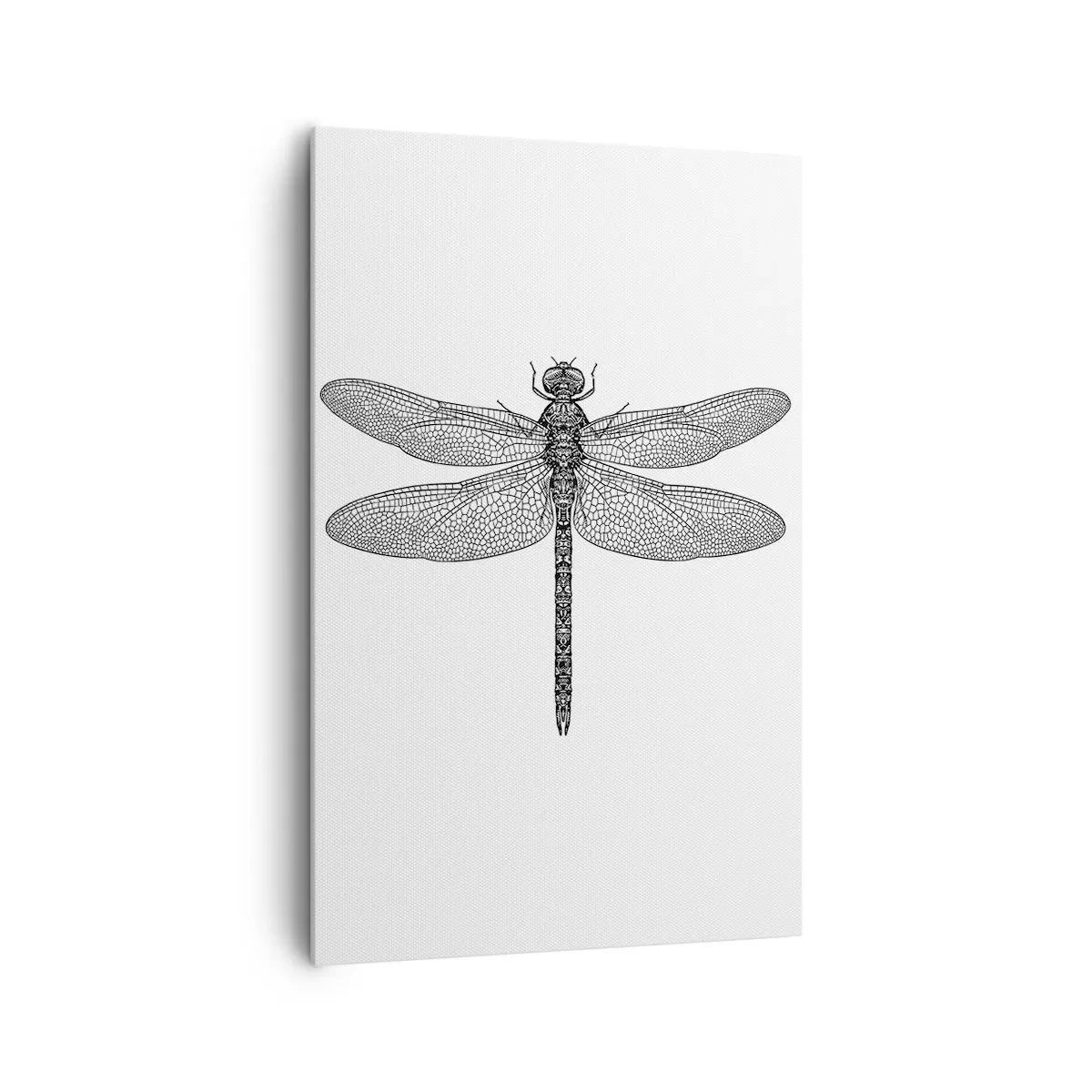 Canvastavla - Bild på duk - Precision i naturen - 80x120 cm