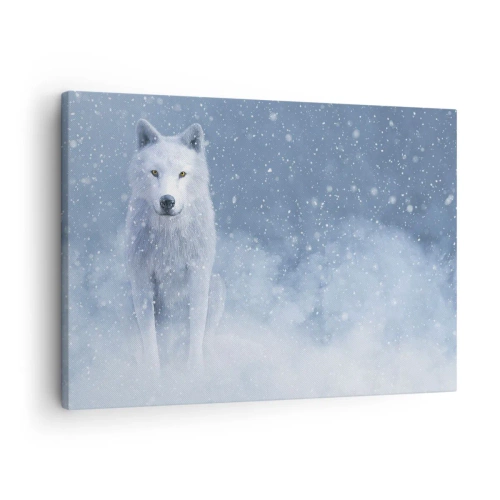Canvastavla - Bild på duk - Vit varg i ett snöigt landskap - 70x50cm - I vinter anda - Modern väggdekoration för vardagsrum och sovrum ARTTOR