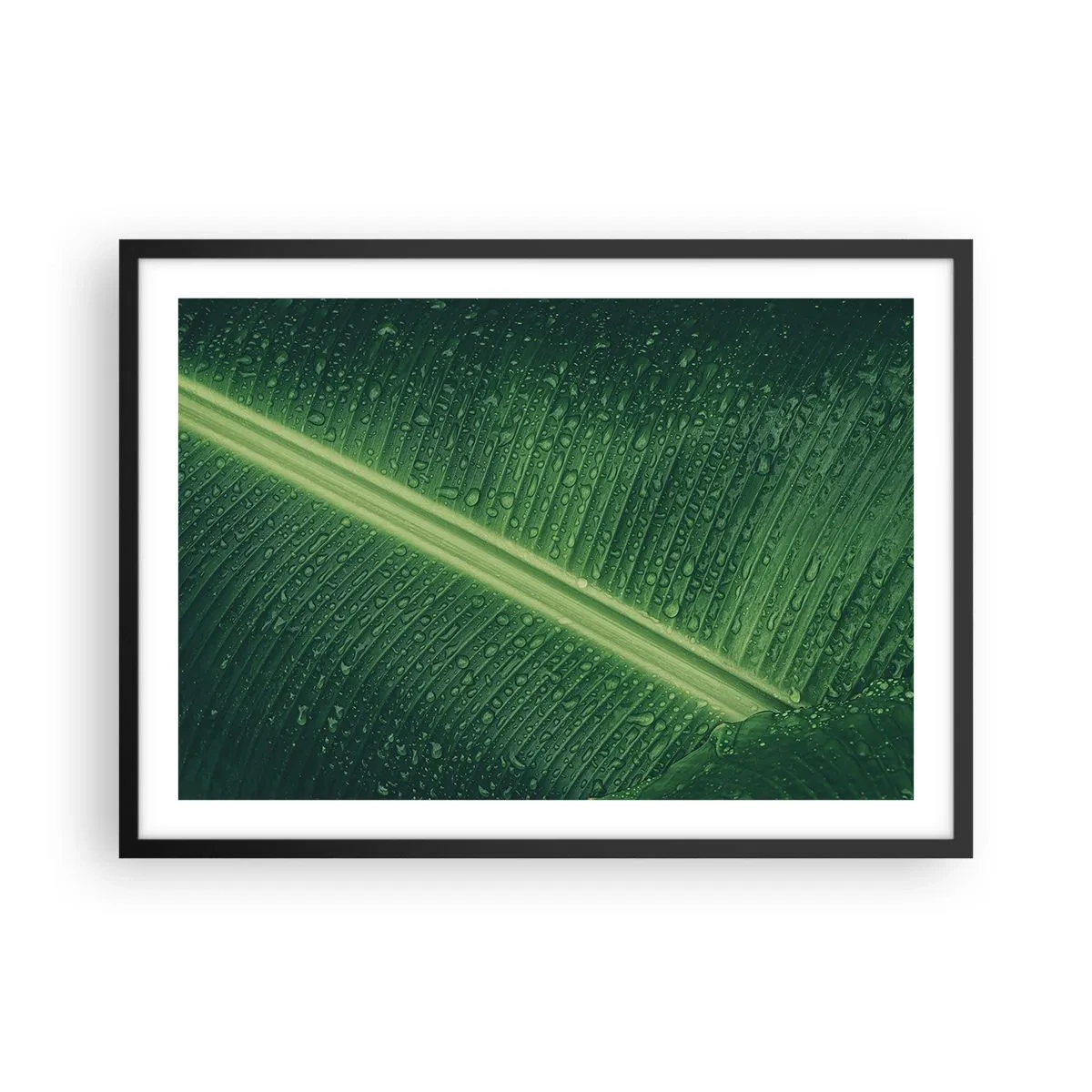 Affisch i svart ram - Grönskans struktur - 70x50 cm