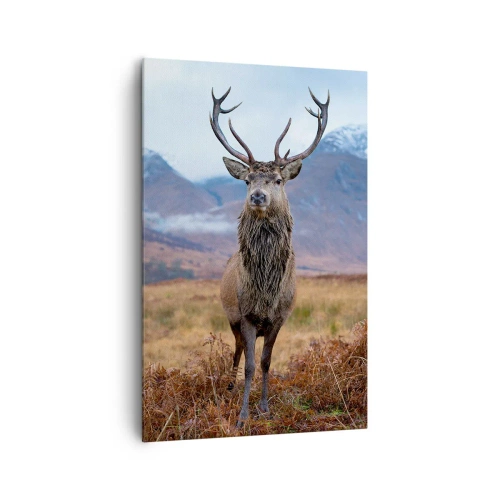 Canvastavla - Bild på duk - På egen mark - 80x120 cm