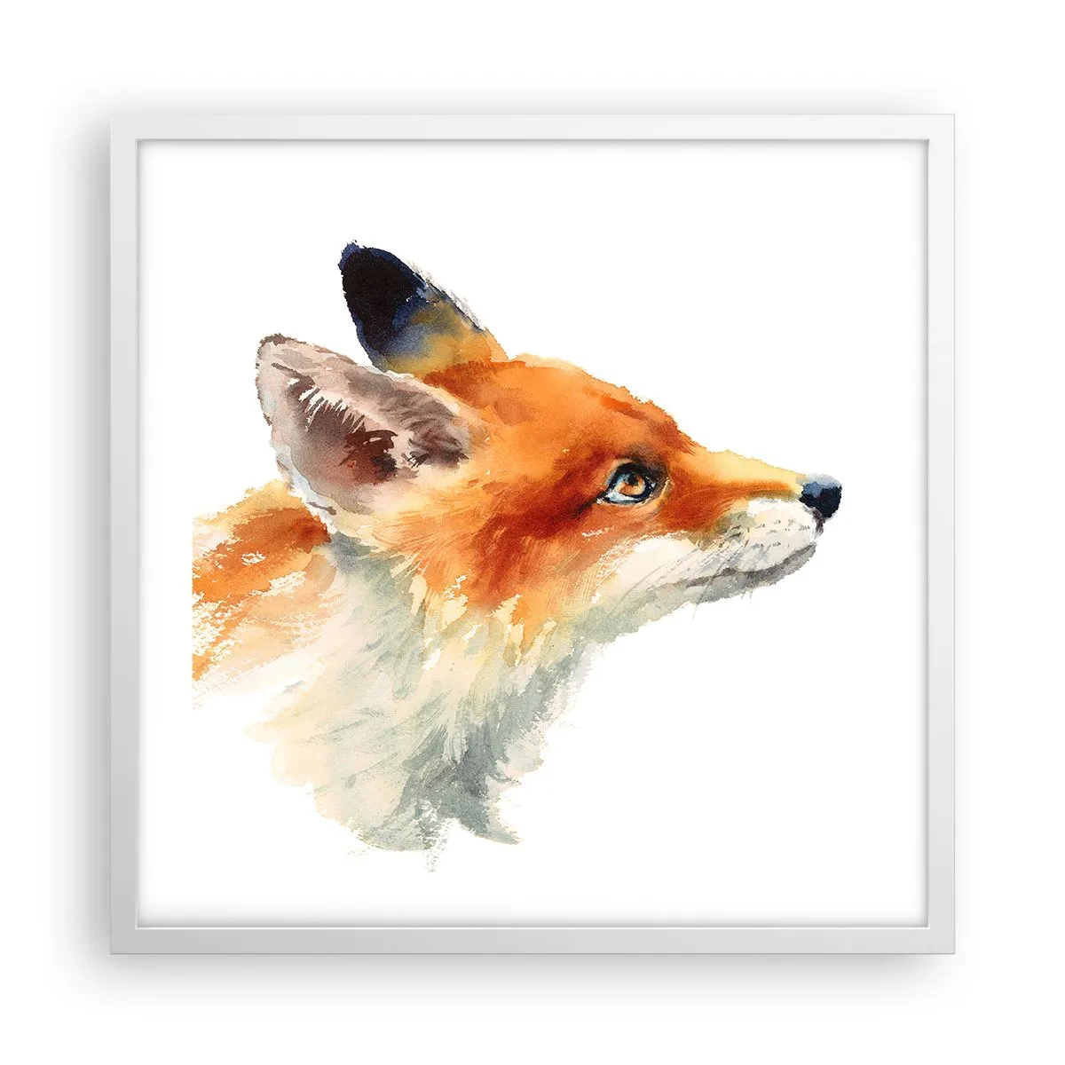 Affisch i vit ram - Försiktighet skadar aldrig - 50x50 cm