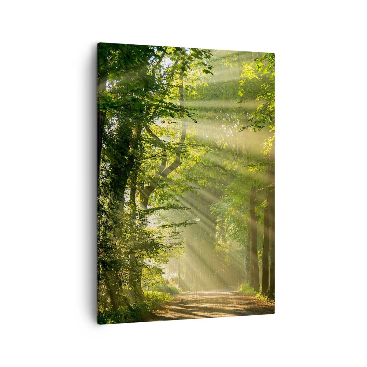 Canvastavla - Bild på duk - En stund i skogen - 50x70 cm