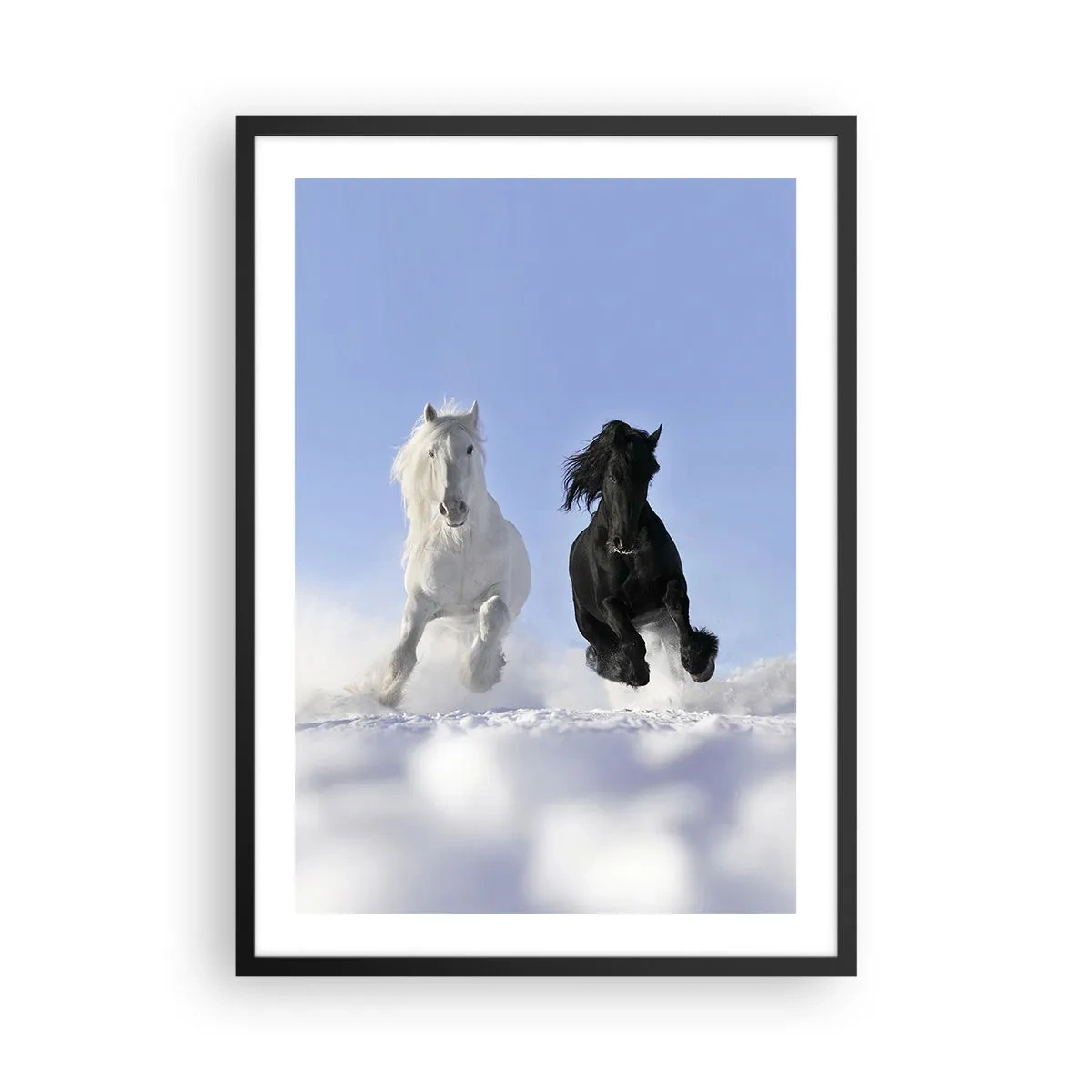 Affisch i svart ram - En vit och svart häst galopperar i snön - 50x70cm - Svart-vit galopp - Modern väggdekoration för vardagsrum och sovrum ARTTOR