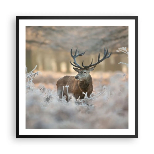 Affisch i svart ram - Uppfriskande morgon - 60x60 cm