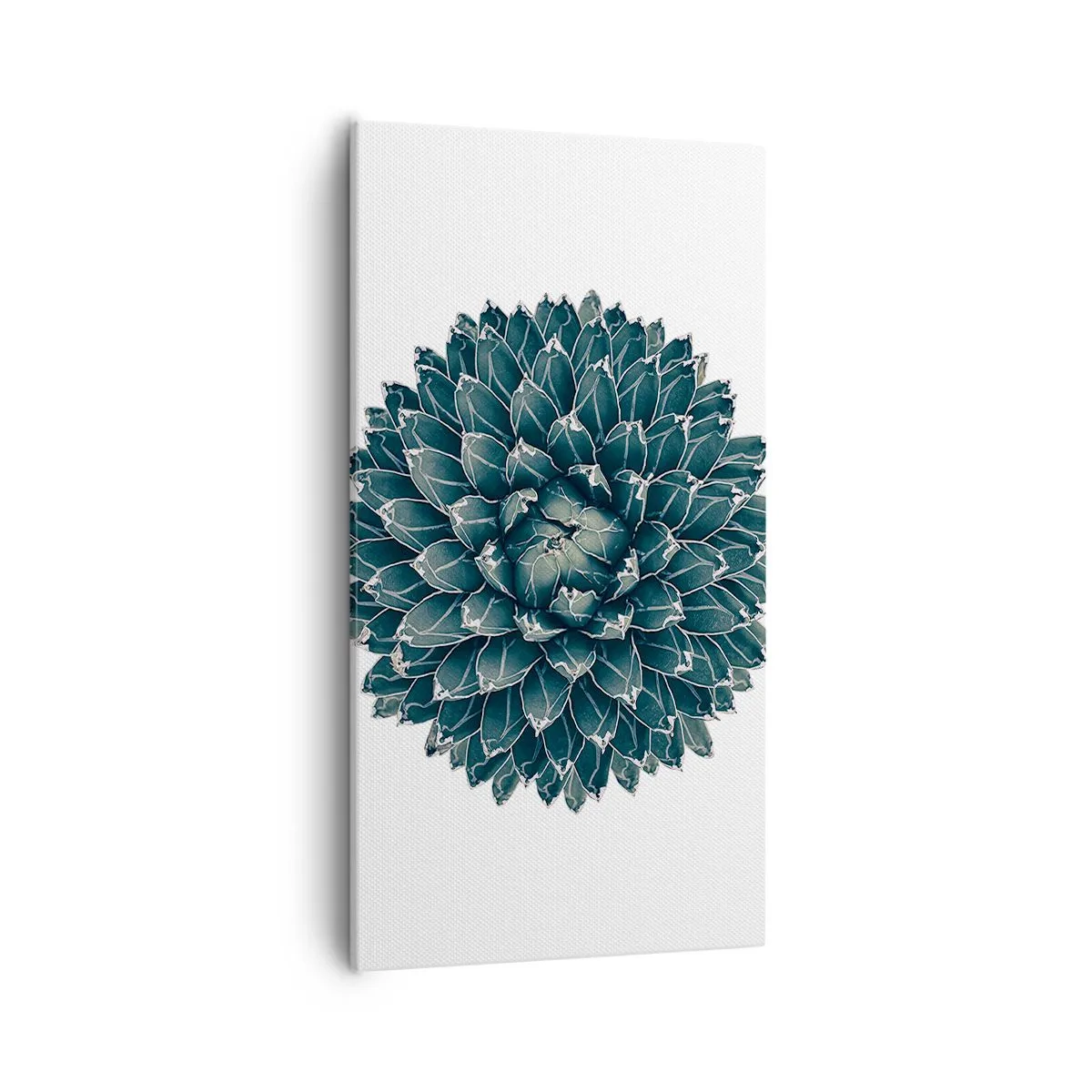 Canvastavla - Bild på duk - Öknens stjärna - 55x100 cm