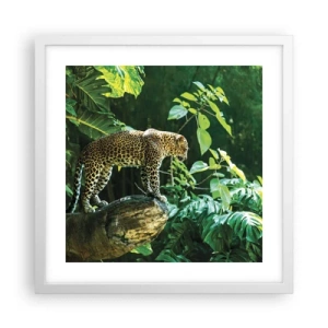 Affisch i vit ram - På jakt? - 40x40 cm